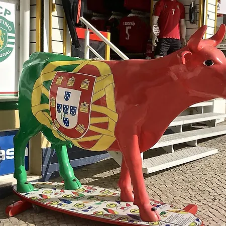 O Meu Cantinho - Praia Da Rocha Διαμέρισμα Portimão